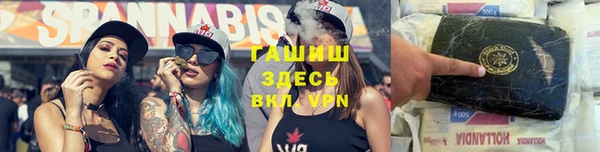 мяу мяу мука Баксан