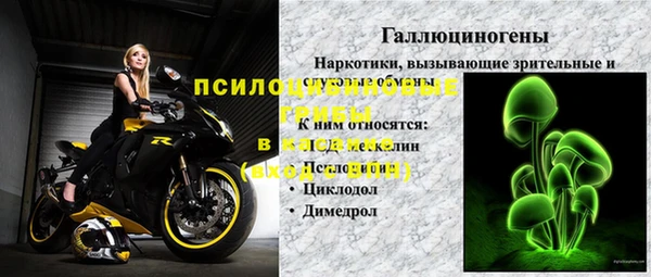 мяу мяу мука Баксан