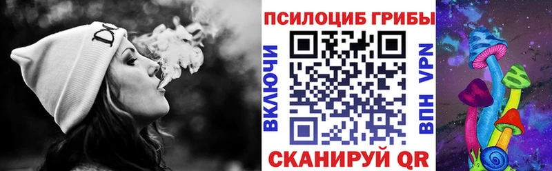 Купить где  Николаевск-на-Амуре  Галлюциногенные грибы Psilocybine cubensis 