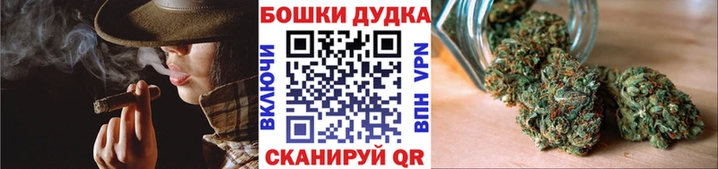 Бошки Шишки план Николаевск-на-Амуре